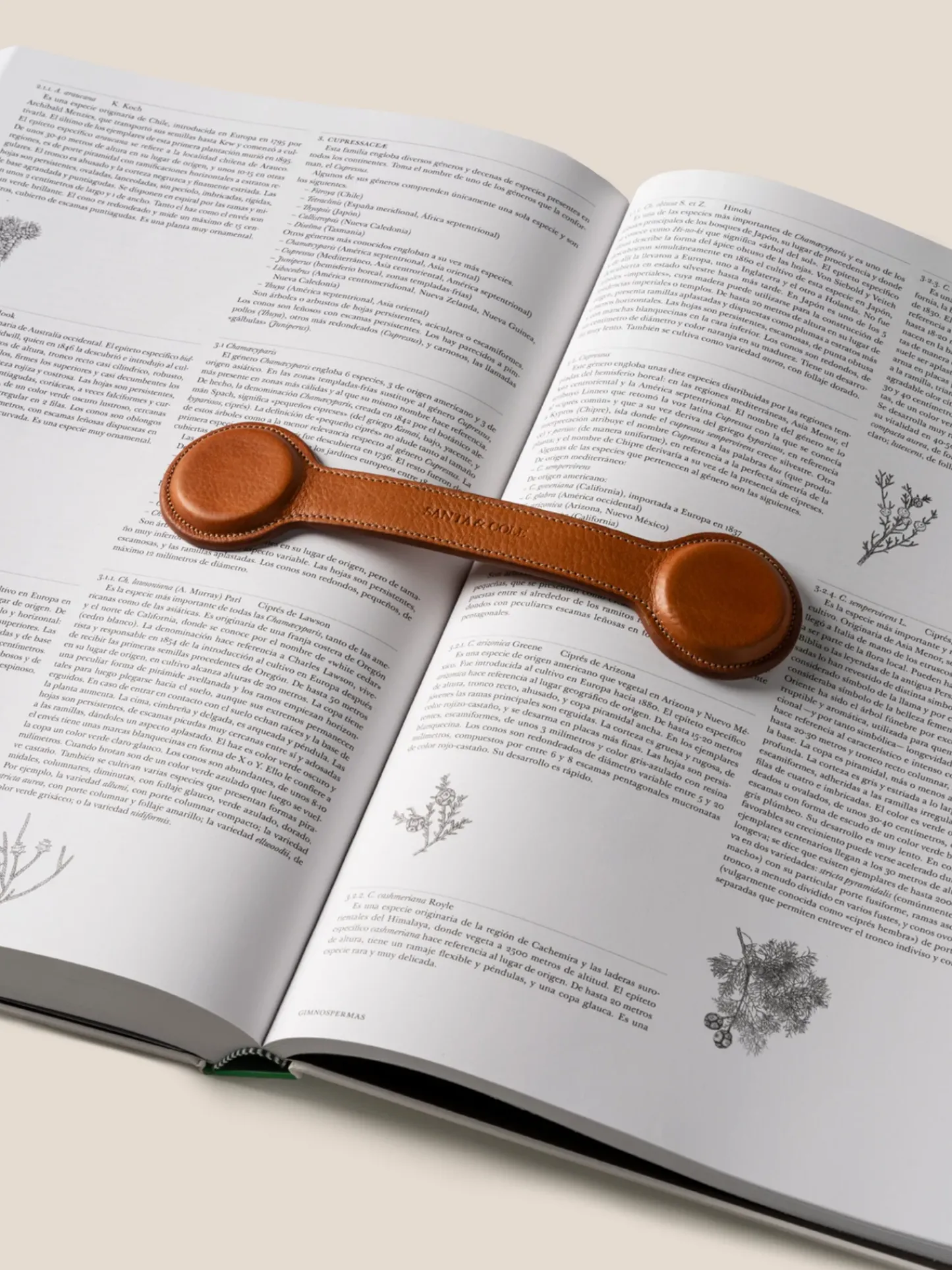 Hereu Studio Home<ESCRIBANO