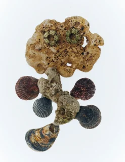 Hereu Studio Art|The Plant Magazine<Membelitkan