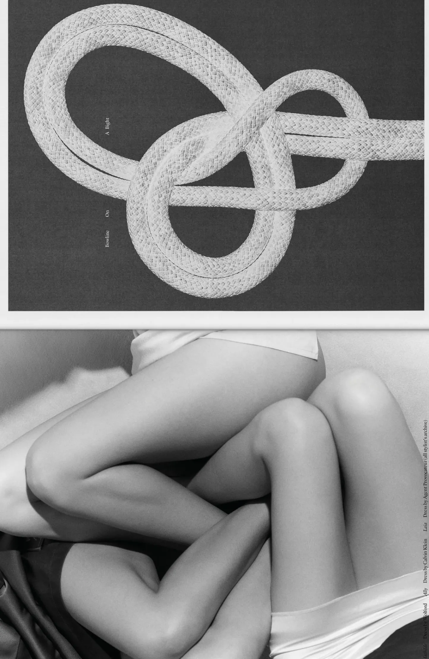 Hereu Studio The Plant Magazine|Books & Magazines<THE PLANT MAGAZINE